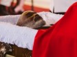 Haïti - FLASH : Résultats de l'autopsie de René Préval
