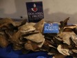 Haiti - France : Record seizure of tortoiseshell from Haiti