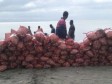 iciHaïti  - RD : Découverte de 2,5 tonnes d’ails de contrebandes en provenance d’Haïti