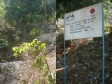 Haiti - Environment : Reforestation and treatment of the gully Nan Baryè