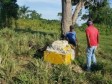 iciHaïti - Dajabón : Des haïtiens tentent de détruire 2 bornes frontières