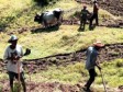 Haiti - Social : Agriculture can meet the needs of the population...