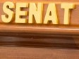 iciHaiti - Politic : The Senate votes a bill on the Konpa !