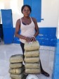 iciHaiti - Aquin : 45 kilograms of marijuana seized