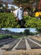 Haiti - Environment : Inauguration of the 4th Plant Propagation Center