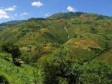 iciHaiti - France : 11 million euros for the Haitian Fund for Biodiversity