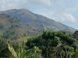 Haiti - Environment : The Haitian mountains, a heritage in danger