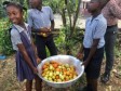 Haïti - Environnement : Vers le renforcement des jardins scolaires