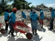 Haiti - Reconstruction : Women collect the rubble in a wheelbarrow for 10 months...