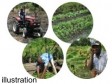 Haiti - Agriculture : $12M for a center of excellence to support agricultural growth