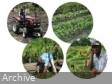 Haiti - Agriculture : The lack of access to inputs risks compromising spring crops