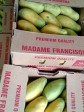 Haiti - Agriculture : The export of Francisque mangoes lower by 48% compared to 2021