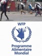 Haiti - Insecurity : Looting of a WFP warehouse in Les Cayes