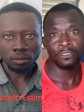 iciHaïti - PNH : Un voleur de bétail et un ravisseur arrêtés