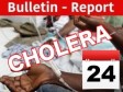 Haiti - Cholera : Daily bulletin #102