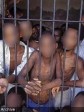 Haïti - Justice : 219 détenus morts de faim ou de maladie dans les prisons haïtiennes