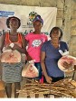 iciHaïti - Agriculture : Distribution de semences vivrières