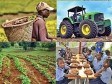 iciHaïti - Éducation :  L’agriculture locale nourrit aujourd’hui près de 50% des écoliers