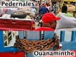 Haiti - FLASH : Dajabón binational market closed, Pedernales open!