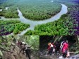Haiti - Social : 45,628 Haitians braved death by crossing the Darién jungle in 2023