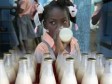 Haiti - Agriculture : Soon milk for 3000 children