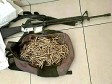 iciHaiti - PNH : A gang leader killed, an assault rifle and ammunition recovered