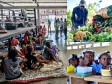 Haïti - FLASH : 1,64 million d’haïtiens en insécurité alimentaire aiguë d’urgence