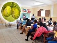 iciHaiti - Grand'Anse : Launch of Breadfruit flour in School Canteens