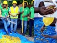 Haïti - Environnement : Collecte de semences locales pour soutenir la reforestation nationale