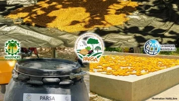 Haiti - Agriculture : Donation of post-harvest equipment to reduce losses and improve incomes