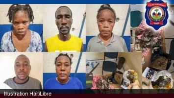 Jacmel : Police in the Southeast arrest 11 people and seize 2.6 kg of marijuana