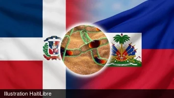 Anthrax : The Dominican Republic strengthens health surveillance at the border
