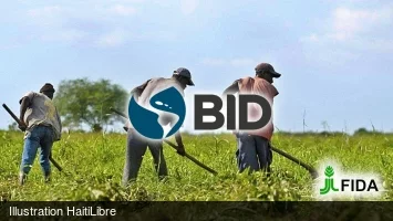 Haïti - Nord et Nord-Est : 47,9 millions USD pour renforcer la productivité agricole