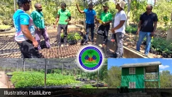 Haïti - Environnement : Renforcer la résilience climatique et restaurer les écosystèmes dégradés