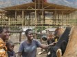 Haiti - Agriculture : The REACH project will create 150 goat and pig breeding centers