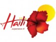 Haiti - Tourism : Result of the Logo Contest for the promotion of tourism in Haiti