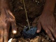 Haïti - Environnement : Bilan de l’aide des organisations de l’ONU (2012)