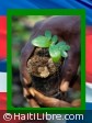 Haiti - Environment : Launch of the reforestation campaign of the island