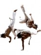 Haiti - Sports : First Caribbean Encounter of Capoeira in Haiti