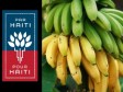 Haiti - Agriculture : Launching of an intensive program of banana production