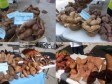 Haiti - Agriculture : Fair-Exhibition on roots and tubers sector