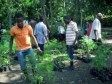 Haiti - Environment : Marbial takes in hand its future